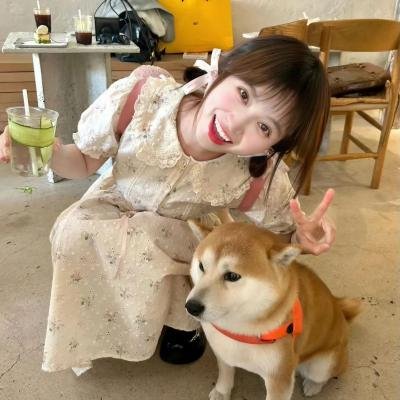虎侠
